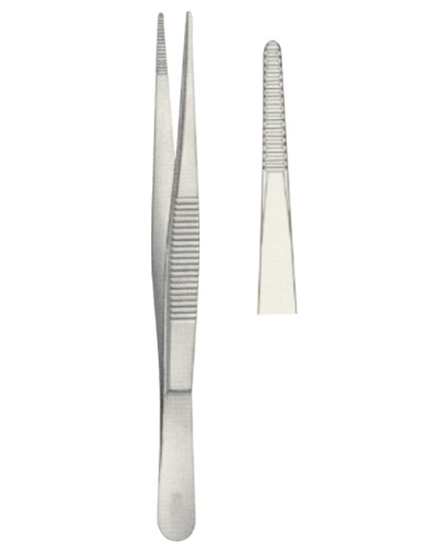 Dissecting Forceps 