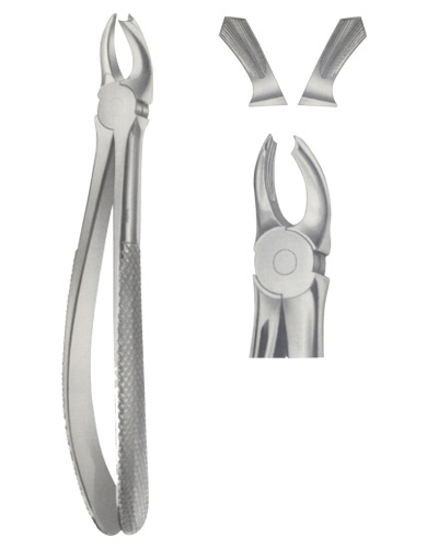  Extracting Forceps  for upper Mullers 