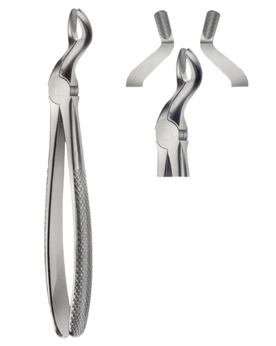 Extracting Forceps for upper Wisdom Teeth