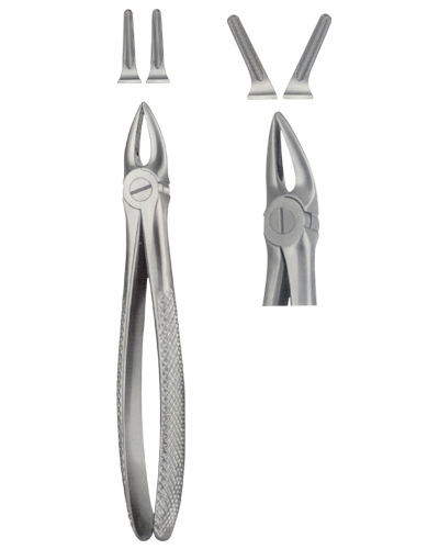 Extracting  Forceps for upper roots