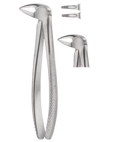 Tooth Forceps for Lower Roots Separating Forceps 