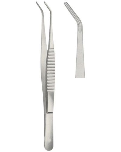  Forceps 