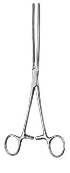 Stomach, Intestines, Rectum